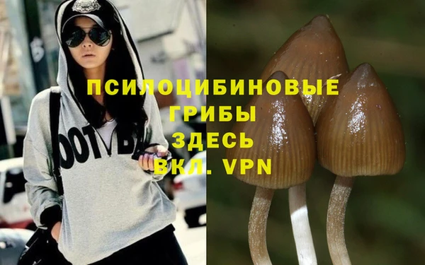 мет Аркадак