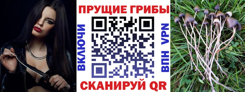 Псилоцибиновые грибы ЛСД  хочу наркоту  Собинка 